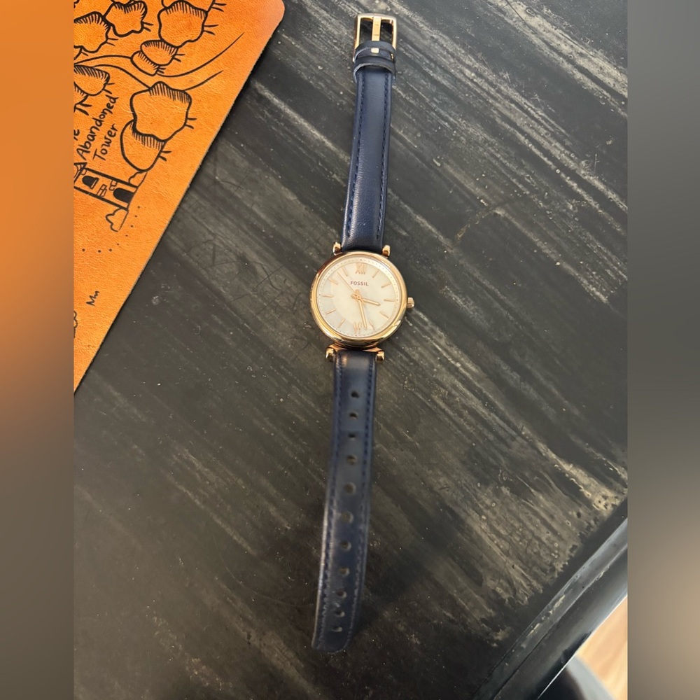 Fossil Watch